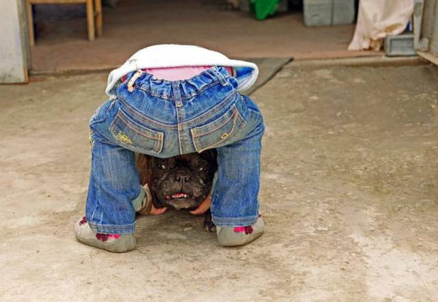 These Photos Will Make You Do a Double Take These Photos Will Make You Do a Double Take