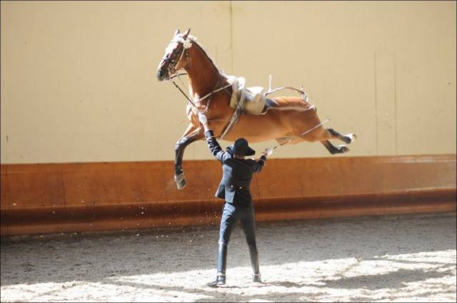 These Photos Will Make You Do a Double Take These Photos Will Make You Do a Double Take