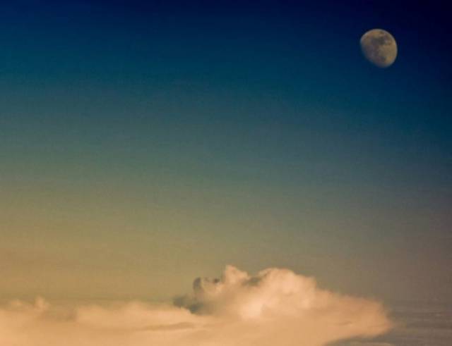 These Photos Will Make You Do a Double Take These Photos Will Make You Do a Double Take