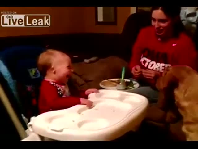 Baby's Got Really Contagious Laughter When the Dog Catches Food