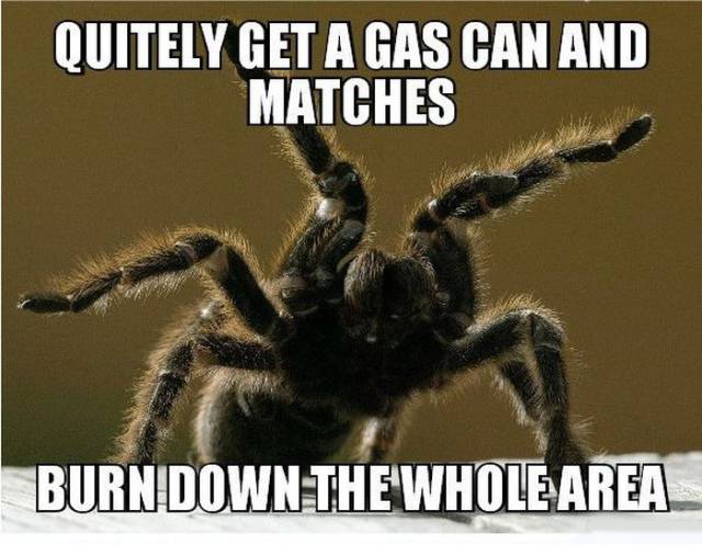 Combat Surviving Tips That You Combat Surviving Tips That You