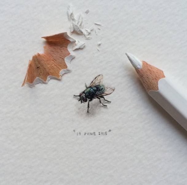 Impressive Tiny Drawings That You'll Definitely Like to Look At (33