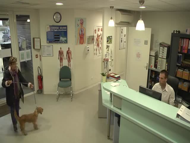 Animal Shelter Hidden Camera Is More Than Just a Prank