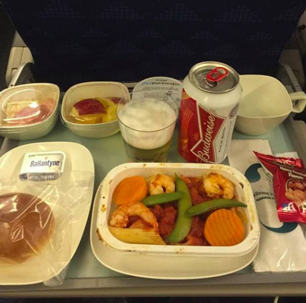 A Comparison of First Class vs. Economy Class Airline Meals Worldwide