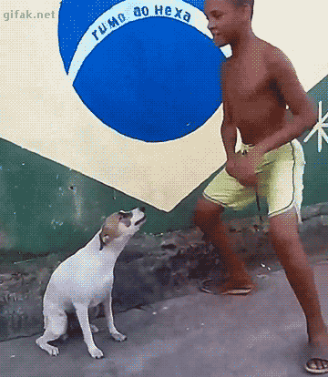 daily_gifdump_999_29.gif