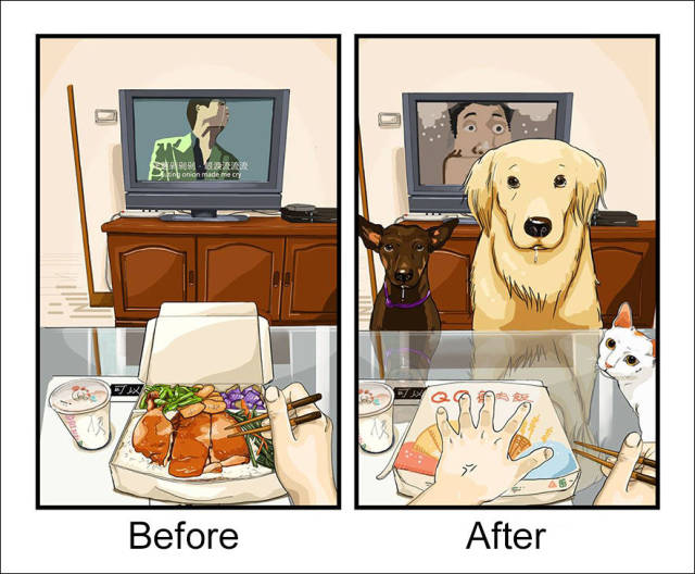 An Amusing Illustrated Comparison of Life Before and After Owning a Dog