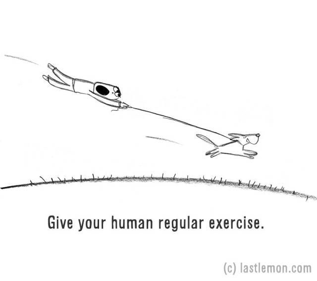 Artists Create an Amusing and Simple Guide on “How to be a Dog”