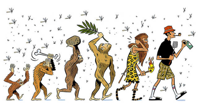 Funny Illustrations of Evolution of Man