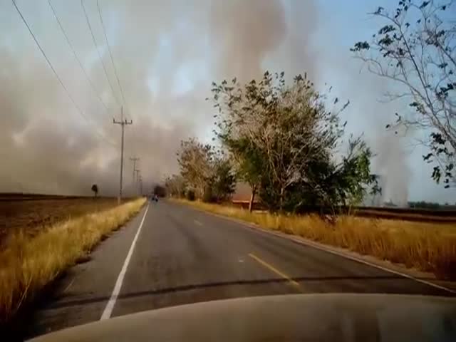 They Should've Waited Before Driving Through Such A Dense Smoke