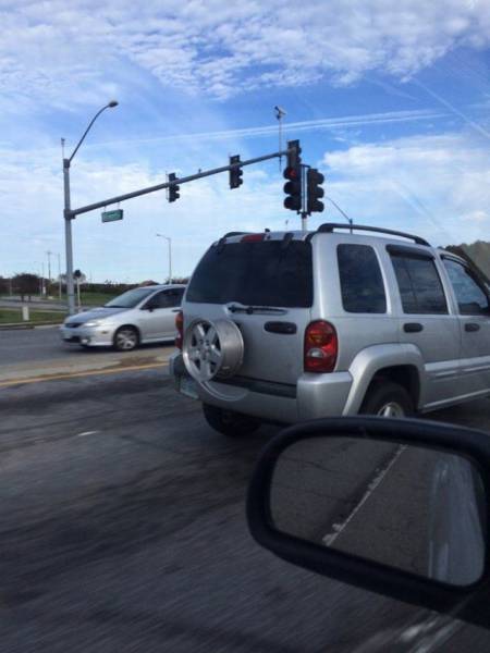 Daily Picdump Daily Picdump