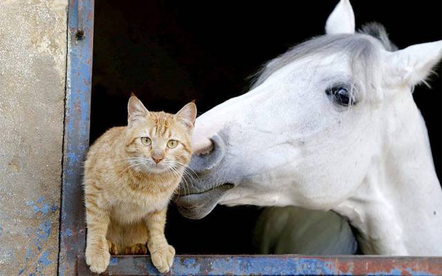 Daily Picdump Daily Picdump