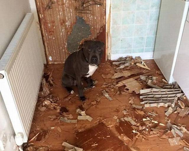Daily Picdump Daily Picdump