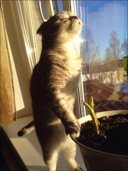 Daily Picdump Daily Picdump