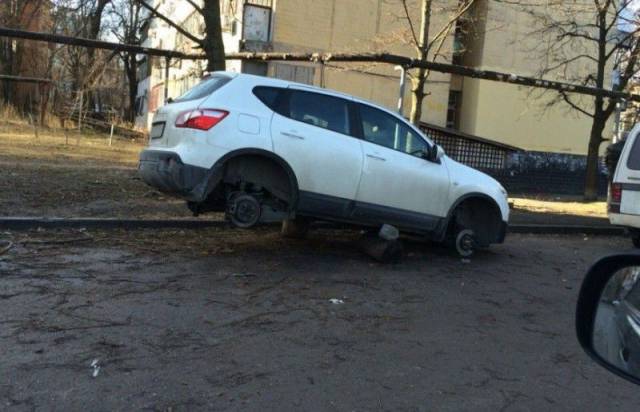 Daily Picdump Daily Picdump