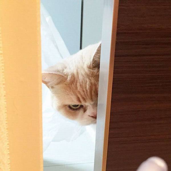 Daily Picdump Daily Picdump