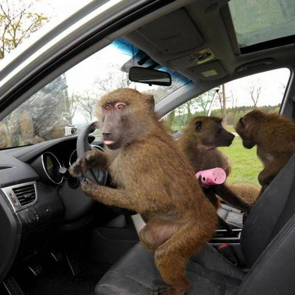 Daily Picdump Daily Picdump