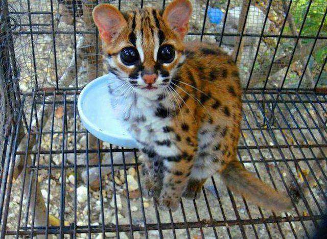 Daily Picdump Daily Picdump