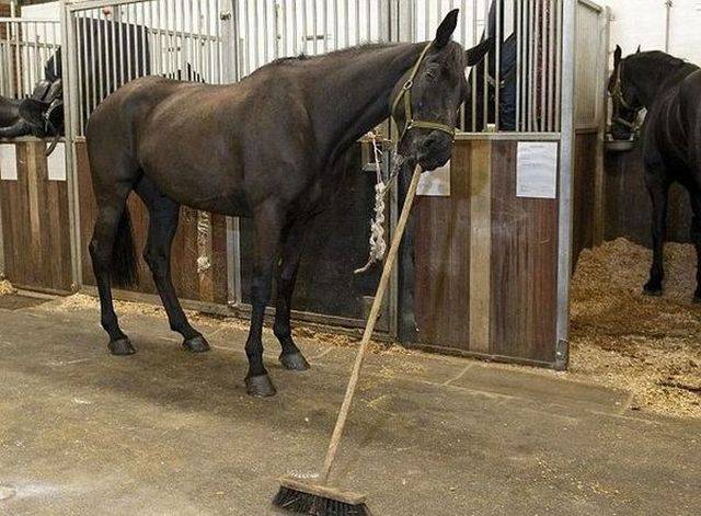 Daily Picdump Daily Picdump