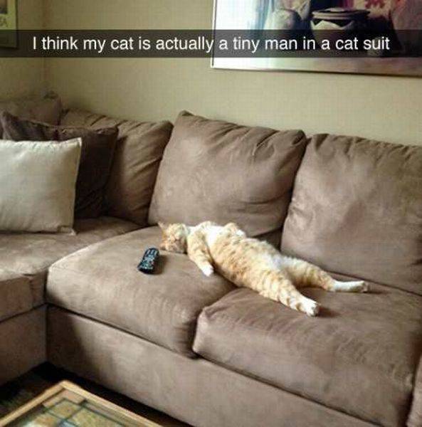 Daily Picdump Daily Picdump