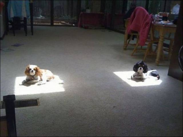 Daily Picdump Daily Picdump