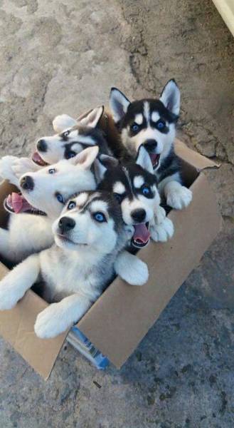 Daily Picdump Daily Picdump