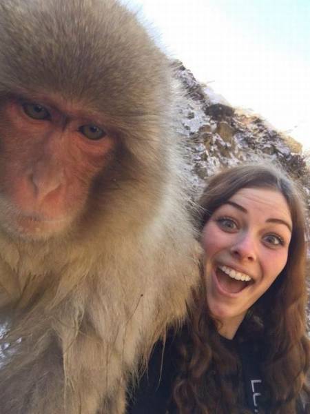 Daily Picdump Daily Picdump
