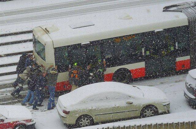 Daily Picdump Daily Picdump