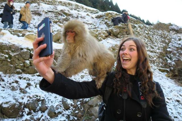 Daily Picdump Daily Picdump