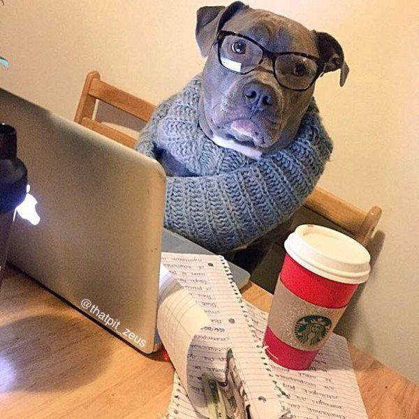 Daily Picdump Daily Picdump
