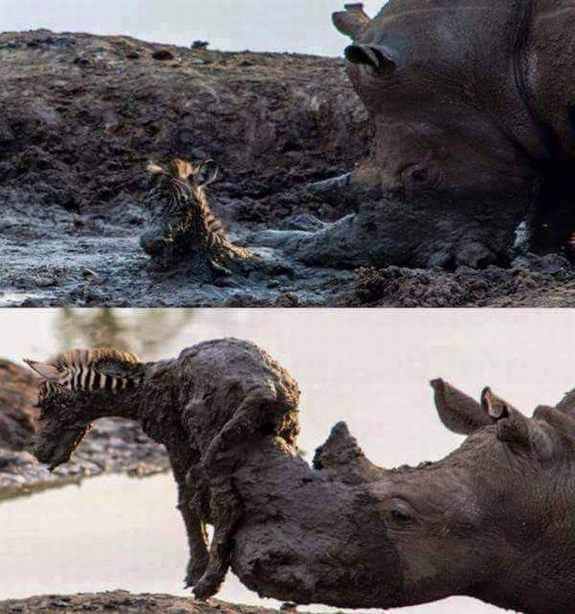 Daily Picdump Daily Picdump