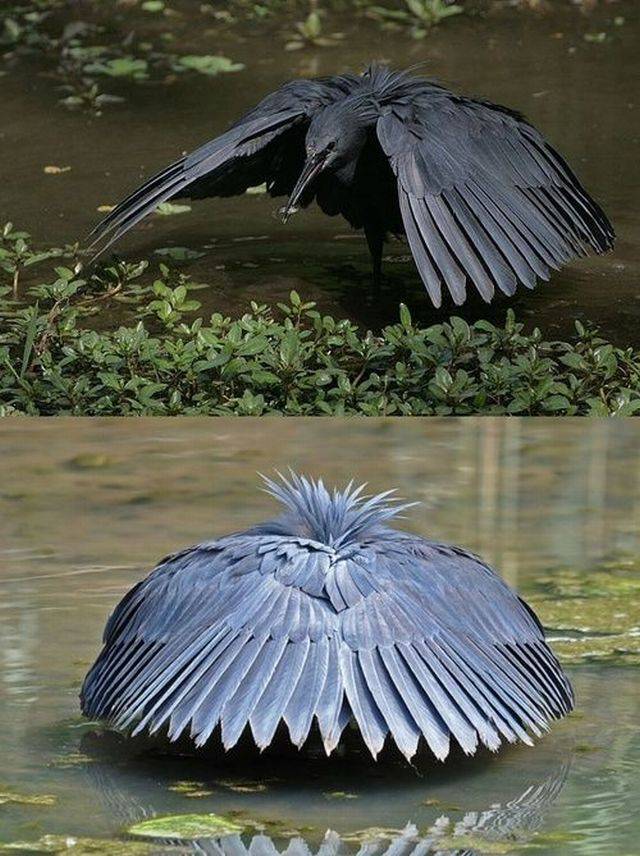Daily Picdump Daily Picdump