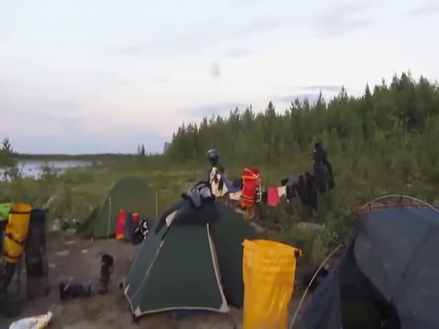 Bear Gets Too Close To A Campsite