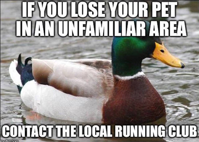 Memes to Make Your Weekend a Little More Amusing