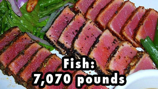 Incredible Amounts Of Everything That Stocked On A Cruise Ship
