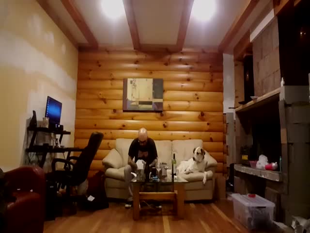 Dog Can't Help Looking While His Owner Is Eating