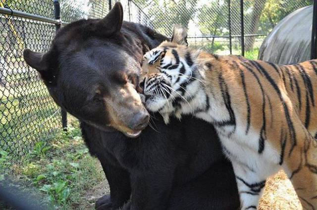 Daily Picdump