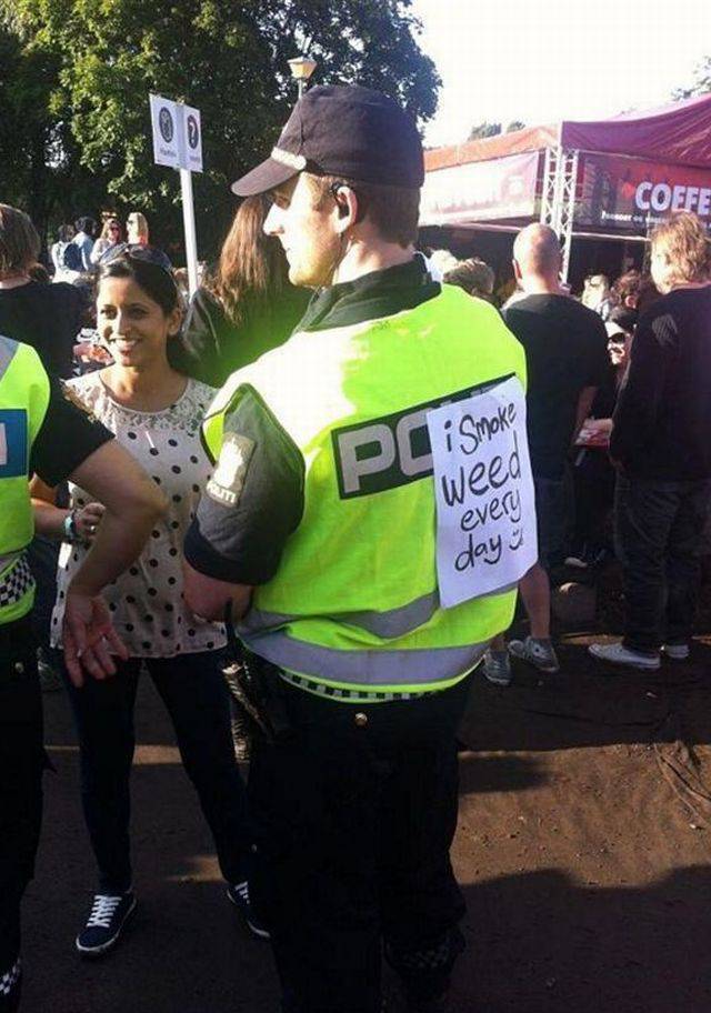 Daily Picdump