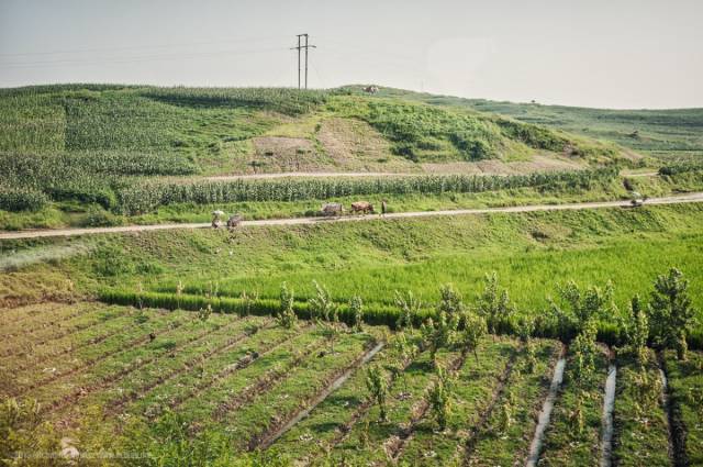 Interesting Photos From Inside North Korea