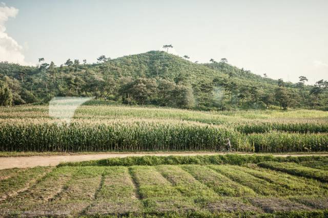 Interesting Photos From Inside North Korea