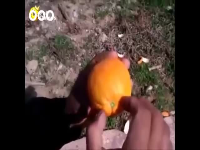 Funny and Creative Way Of Peeling An Orange