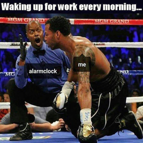 Witty And Amusing Memes To Get Your Day Moving