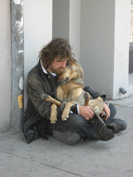 Dogs Don’t Care about Money, All They Need Is Love