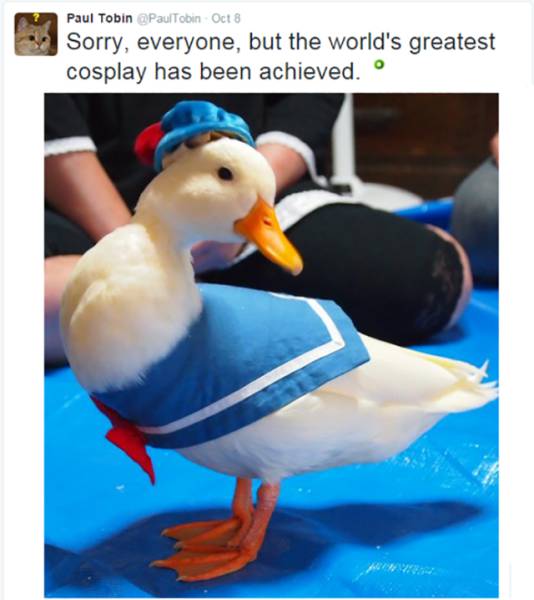 These Geeks Are Responsible for Making Cosplay Awesome