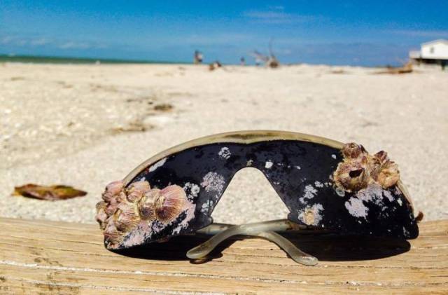 Different Odd And Interesting Things People Found On The Beach