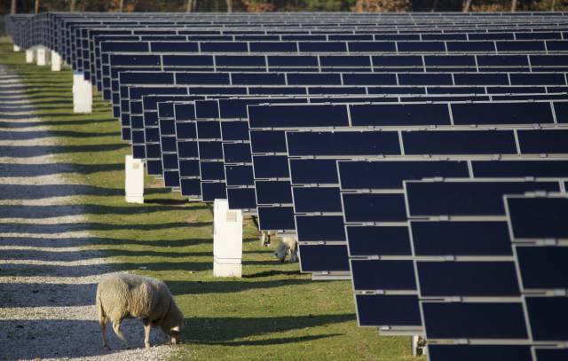 Top 10 Countries Leading The Way In Solar Energy