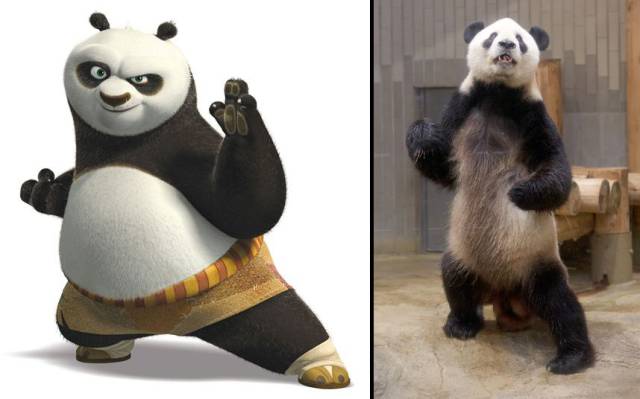 Daily Picdump Daily Picdump