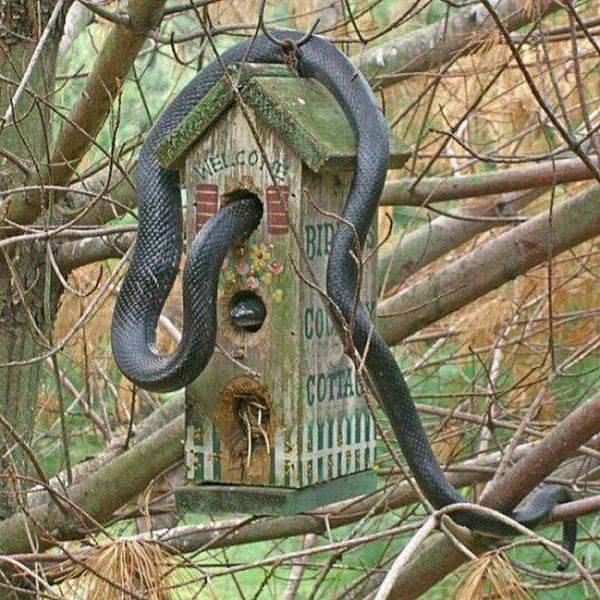 Daily Picdump Daily Picdump