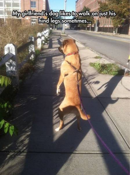Daily Picdump Daily Picdump