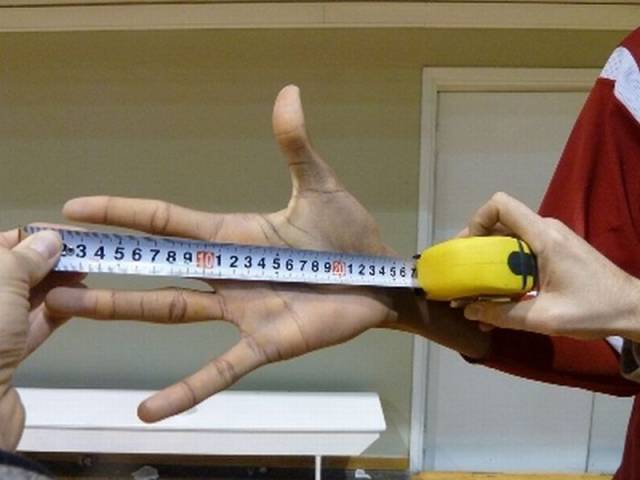 Daily Picdump Daily Picdump