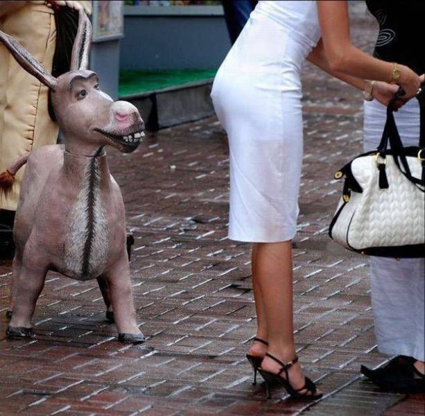 Daily Picdump Daily Picdump